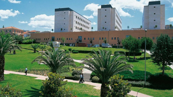 THÔNG BÁO HỌC BỔNG QUỐC TẾ TẠI Ý NĂM HỌC 2026–2027