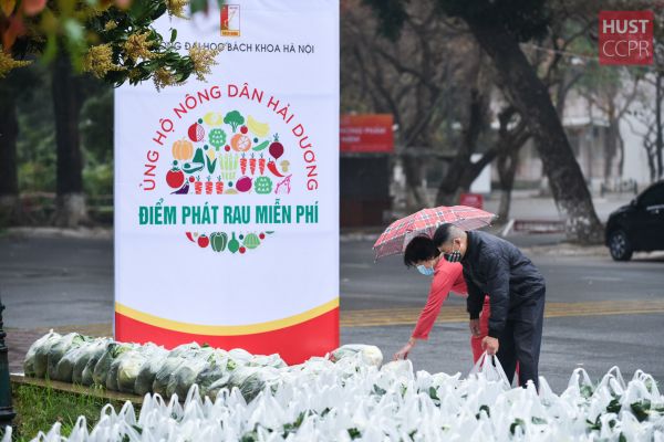 Đại học Bách khoa Hà Nội chung tay giải cứu nông sản cho nông dân Hải Dương