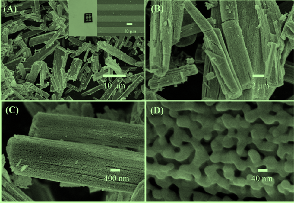 Some scanning electron microscope (SEM) images of nanomaterials and nano components manufactured in the project have been published