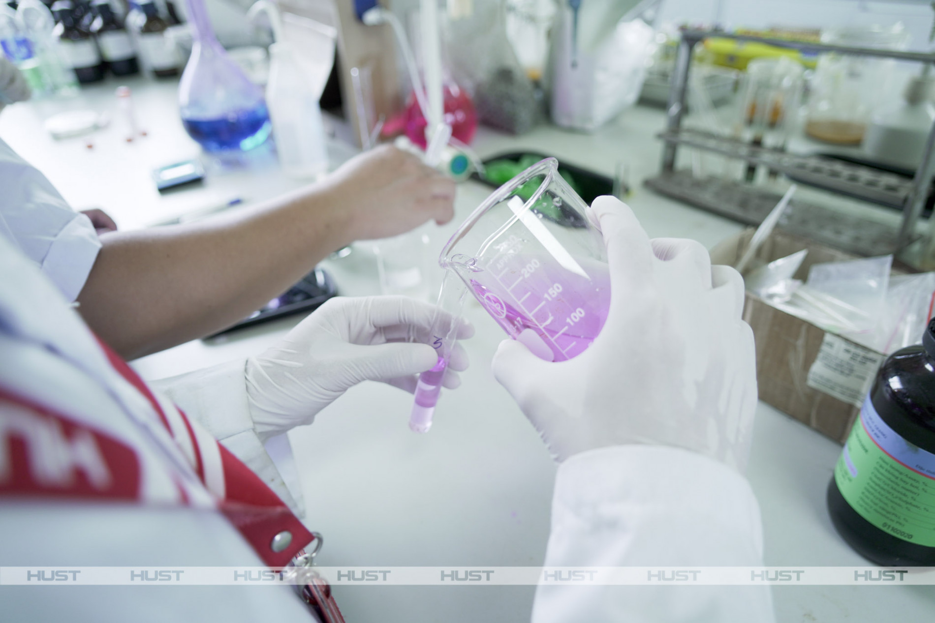 Students check the concentration of organic dyes