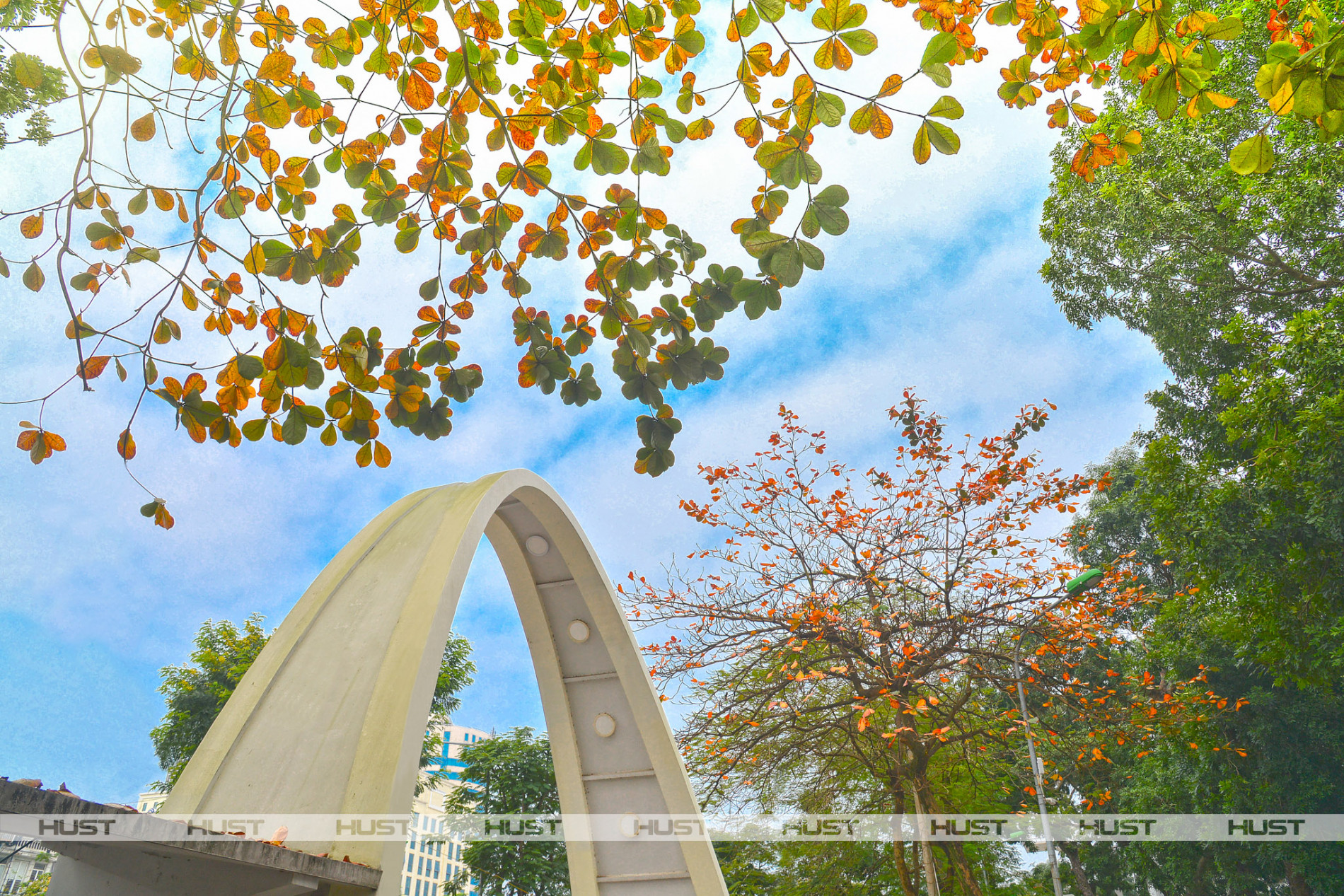 524778700 1110163187904197 1993222885198908745 n